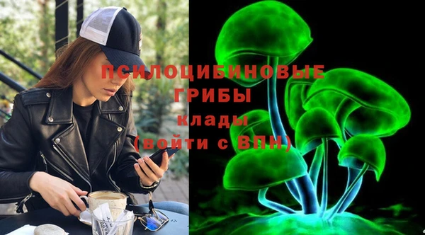 ГАЛЛЮЦИНОГЕННЫЕ ГРИБЫ Балабаново