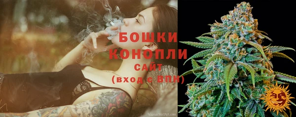 ГАЛЛЮЦИНОГЕННЫЕ ГРИБЫ Балабаново